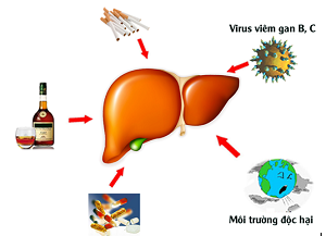 viem gan c