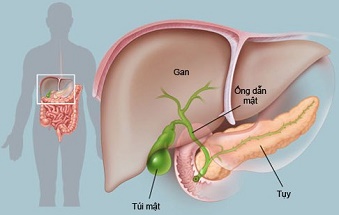 ung thu gan gay tu vong nhanh