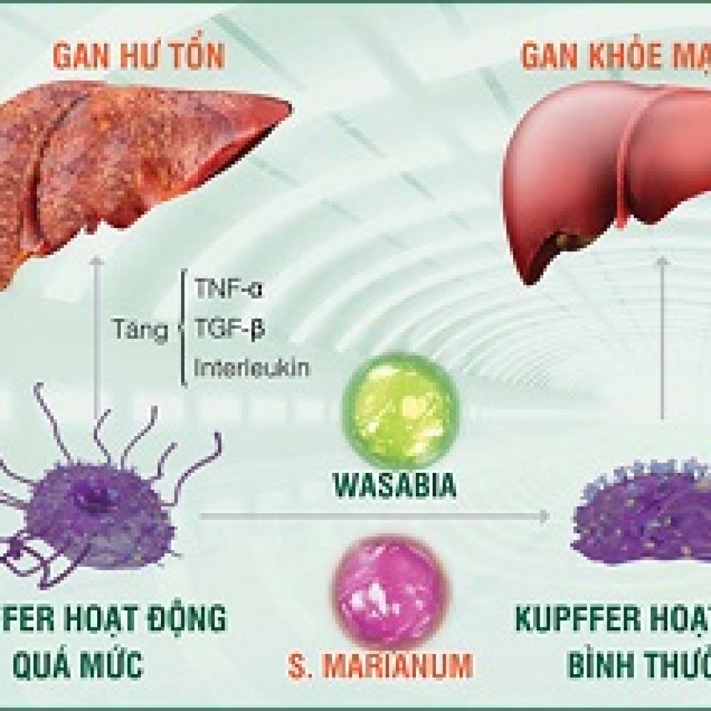 bao ve gan truoc thuc pham ban