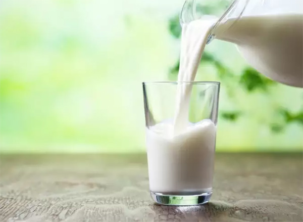 Thường xuyên uống sữa giúp giảm nguy cơ ung thư gan